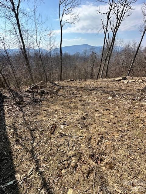 Tbd Heritage Rdg Road, Unit H12 Elk Park, NC 28622 - Photo 4 of 29