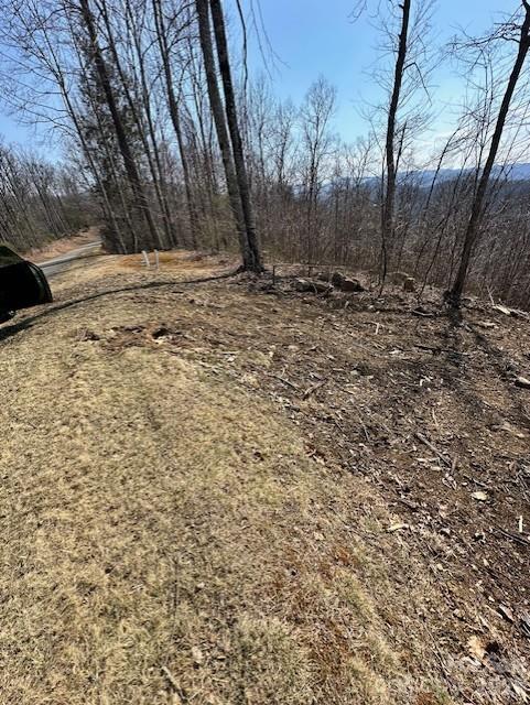 Tbd Heritage Rdg Road, Unit H12 Elk Park, NC 28622 - Photo 5 of 29