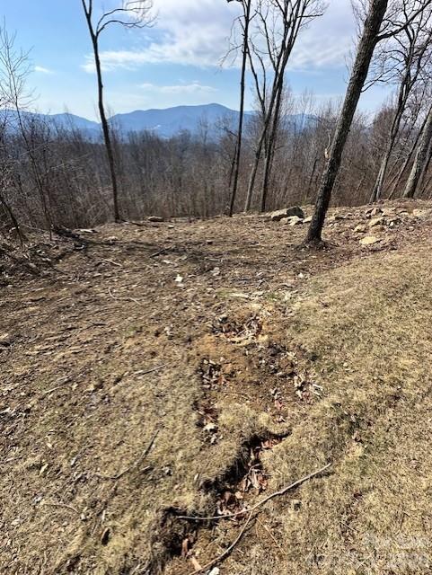 Tbd Heritage Rdg Road, Unit H12 Elk Park, NC 28622 - Photo 6 of 29