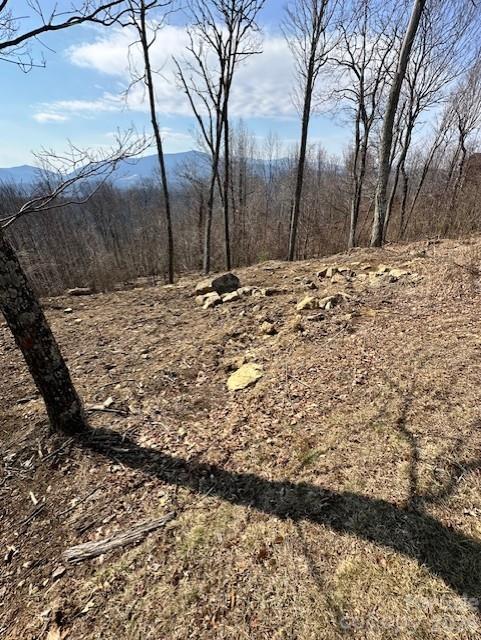 Tbd Heritage Rdg Road, Unit H12 Elk Park, NC 28622 - Photo 7 of 29