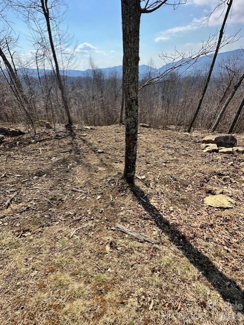 Tbd Heritage Rdg Road, Unit H12 Elk Park, NC 28622 - Photo 9 of 29