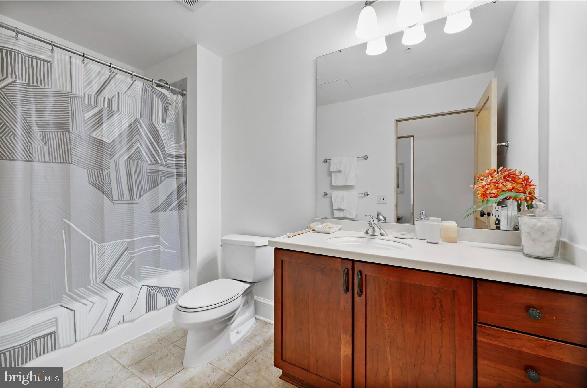 9610 Dewitt Drive, Unit BB03 Silver Spring, MD 20910 - Photo 15 of 28 a bathroom with a granite countertop sink a toilet and a mirror