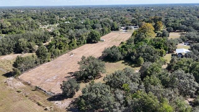 361 Peach Tree Drive Spring Hill, FL 34608 - Photo 8 of 10