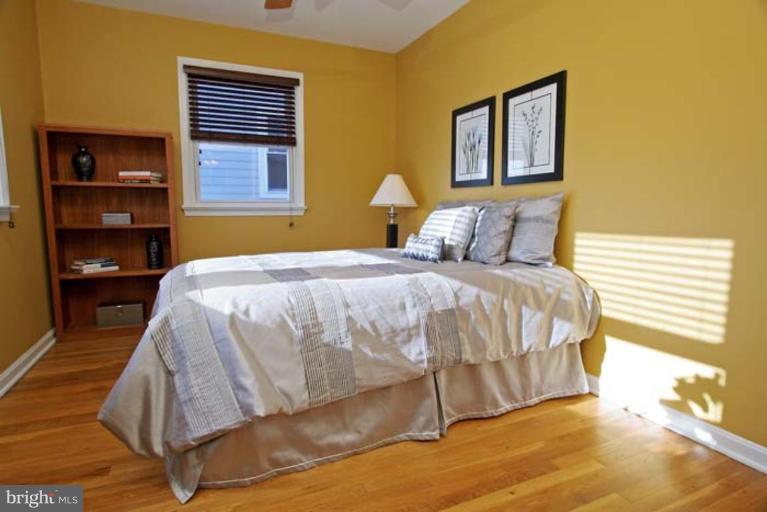 100 West Braddock Road, Unit B Alexandria, VA 22301 - Photo 14 of 21 Sunlight streams in