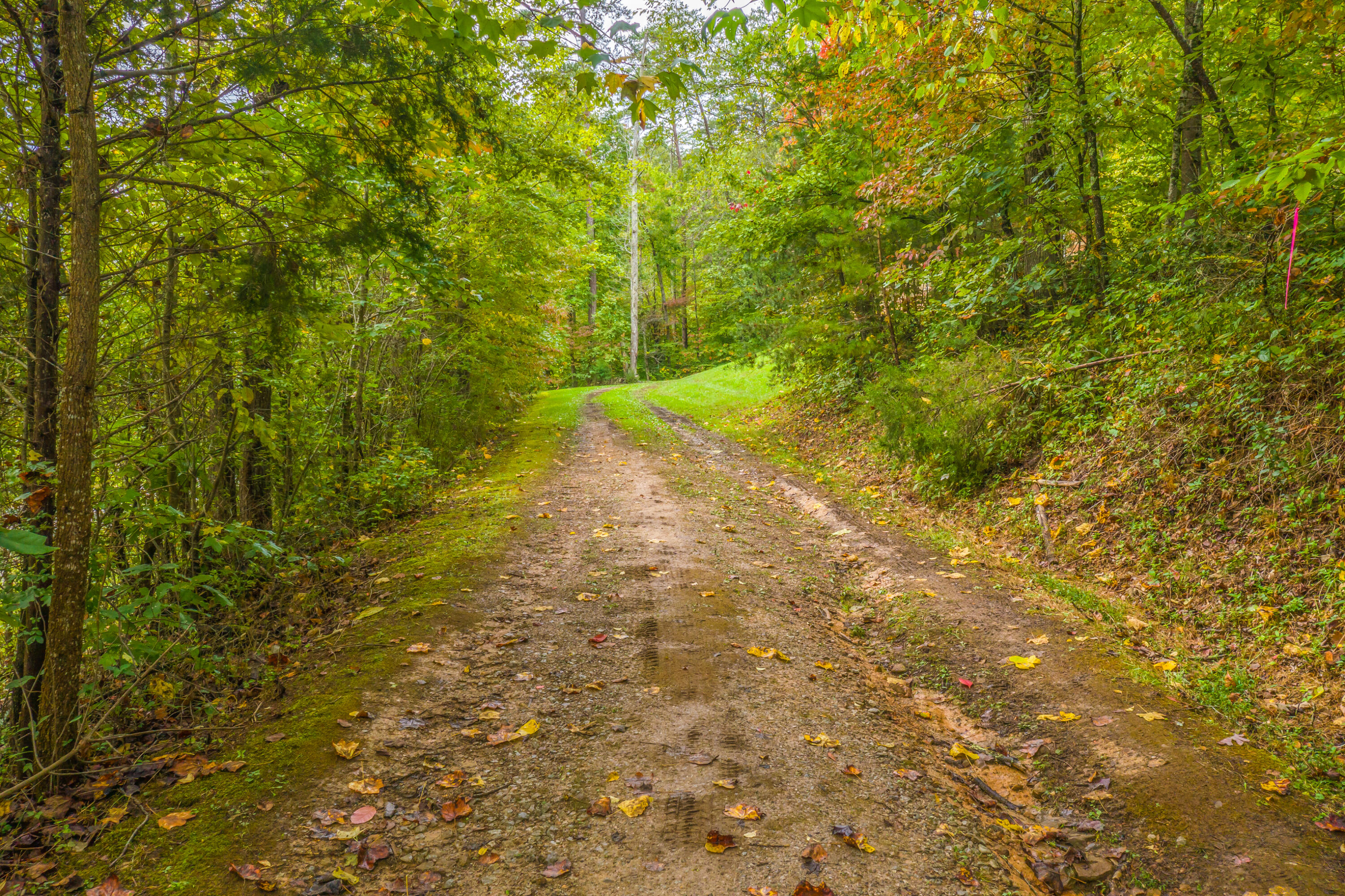 724 Ridgeview Road Bean Station, TN 37708 - Photo 19 of 20 68D9CF7B-F1A6-436C-AA72-2432198F5CD3