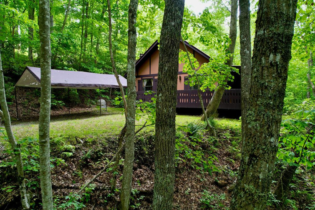 351 Mt Tabor Road Topton, NC 28781 - Photo 3 of 58