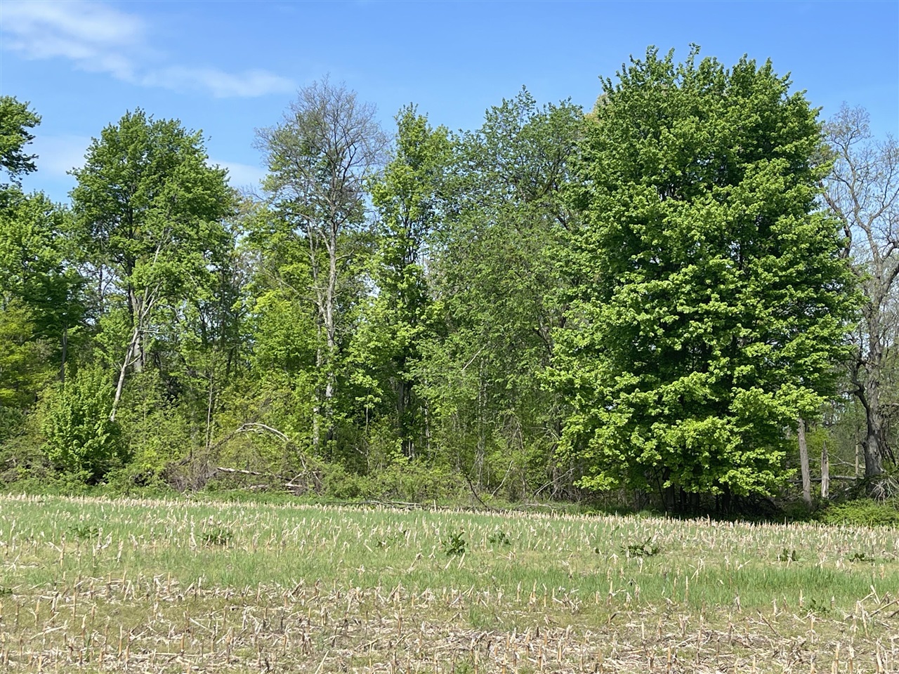 4514 22 Mile Road Northeast, Unit PARCEL 1 Sand Lake, MI 49343 - Photo 1 of 17