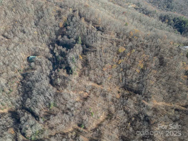 a view of a mountain range with lush green forest