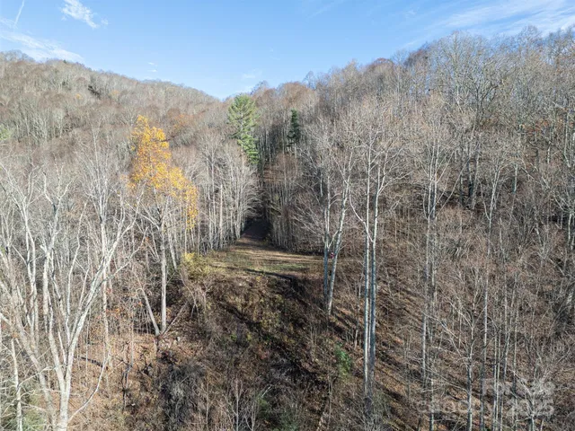 $90,000 | 1098 Hyacinth Drive, Clyde, NC 28721