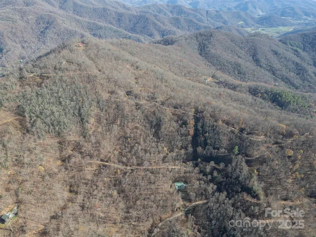 a view of a dry yard