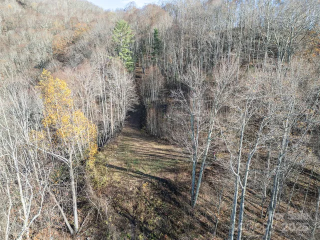 a view of a door of the forest