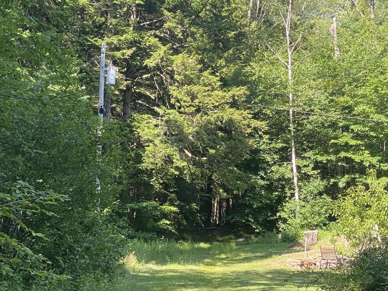 0 Old Rindge Road, Unit 16029000 Fitzwilliam, NH 03447 - Photo 2 of 10