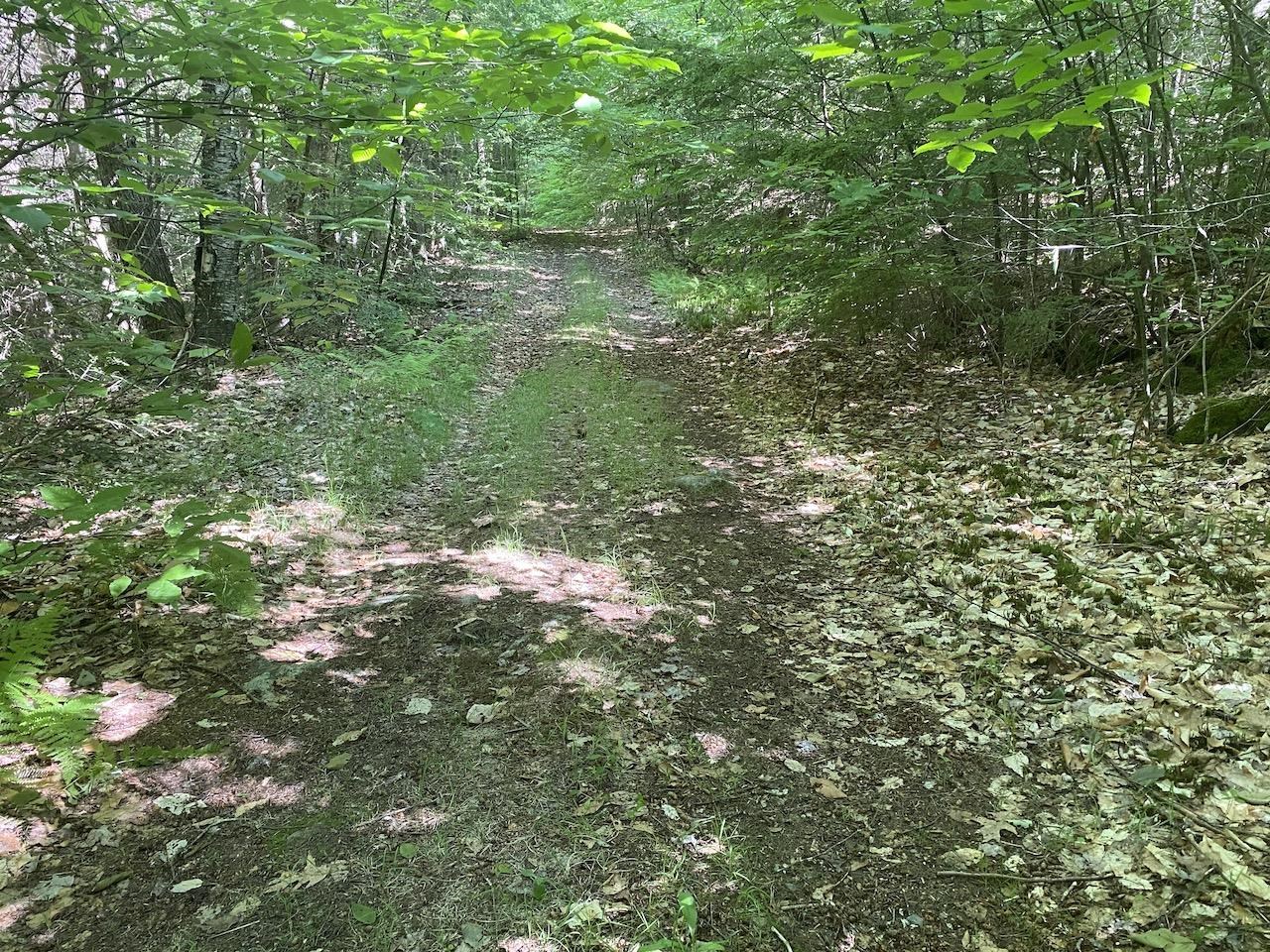 0 Old Rindge Road, Unit 16029000 Fitzwilliam, NH 03447 - Photo 4 of 10