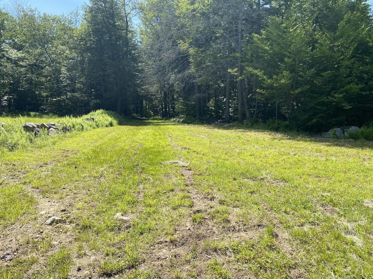 0 Old Rindge Road, Unit 16029000 Fitzwilliam, NH 03447 - Photo 9 of 10
