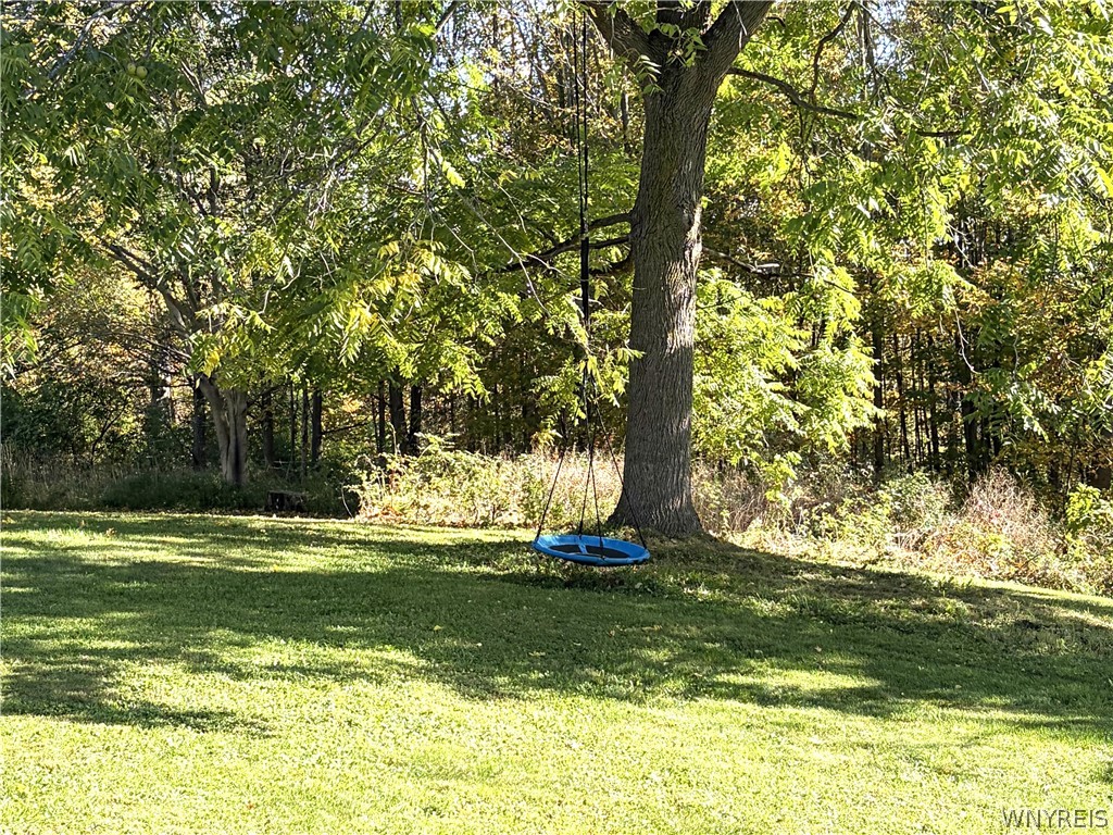 8078 Higgins Road Centerville, NY 14735 - Photo 18 of 35 Gallery Image 18