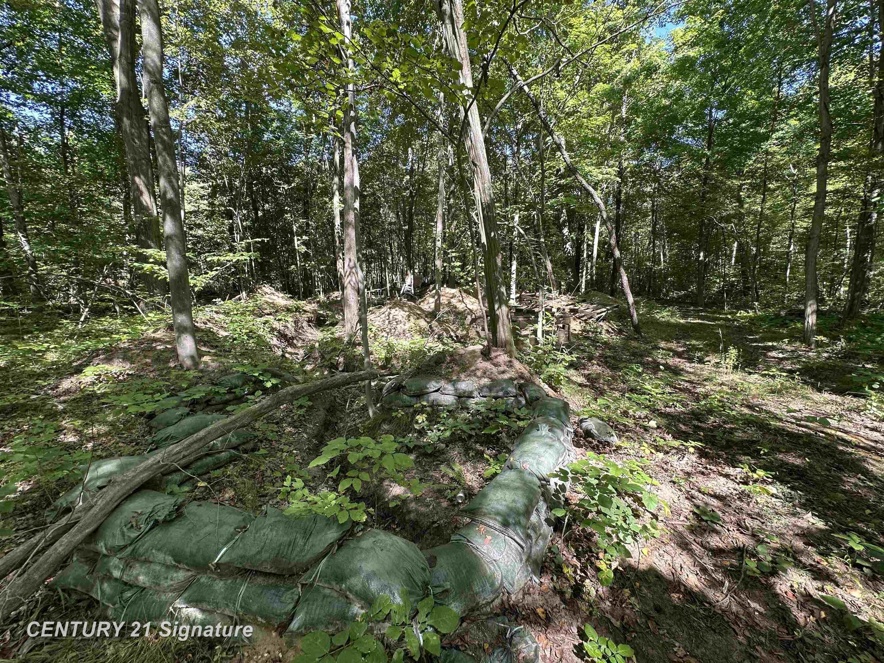 7163 West Wilson Road Montrose, MI 48457 - Photo 35 of 42 50221761-a9fe4f1e-9cb3-4283-ab91-eadb98460b17.JPG
