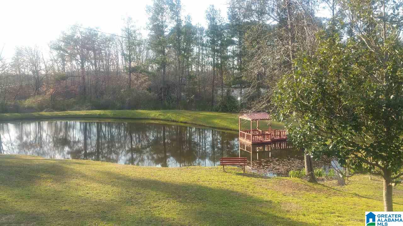 2125 Sanie Road Odenville, AL 35120 - Photo 7 of 11