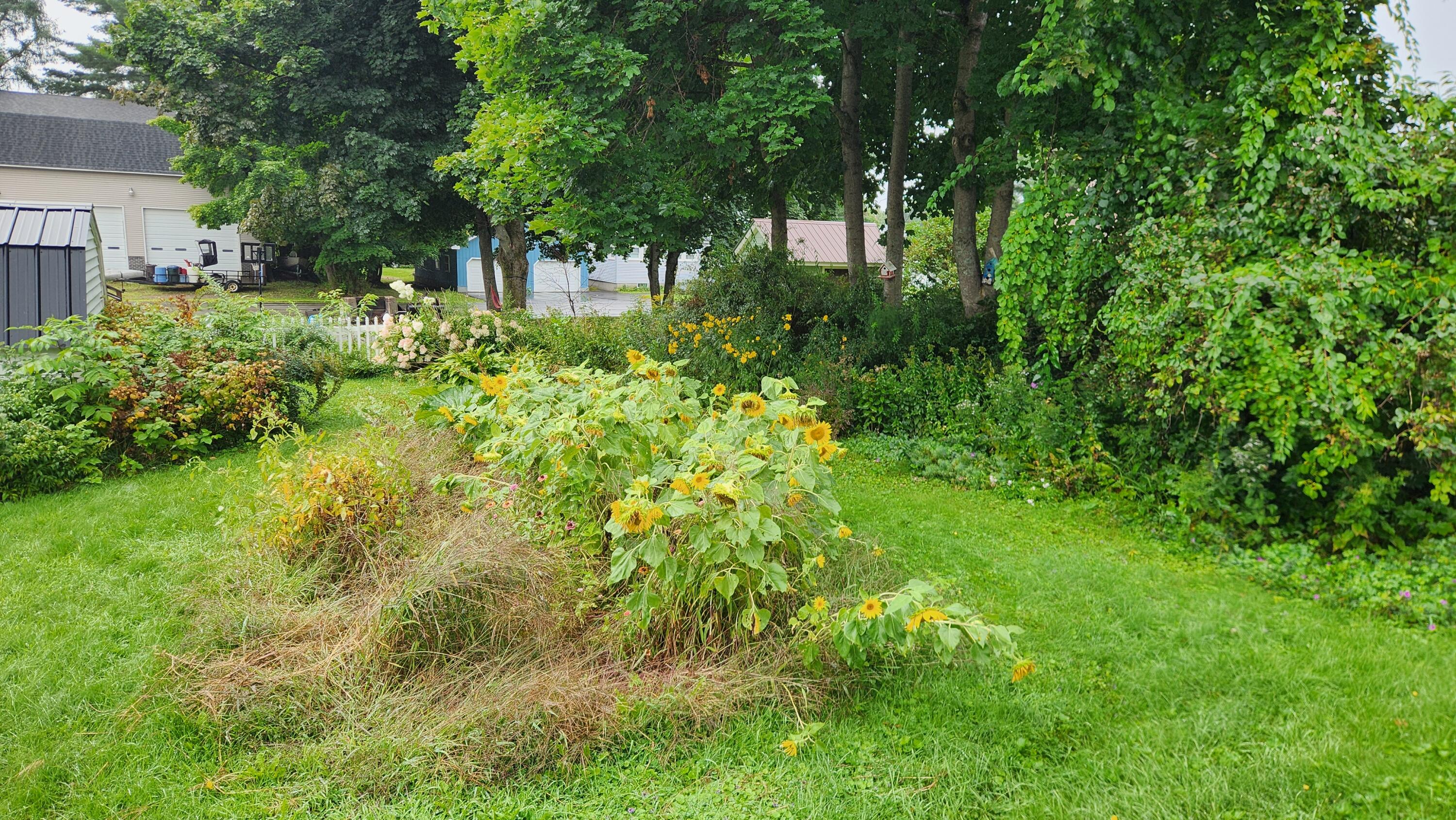 30 Spruce Street East Millinocket, ME 04430 - Photo 30 of 32 1000015243