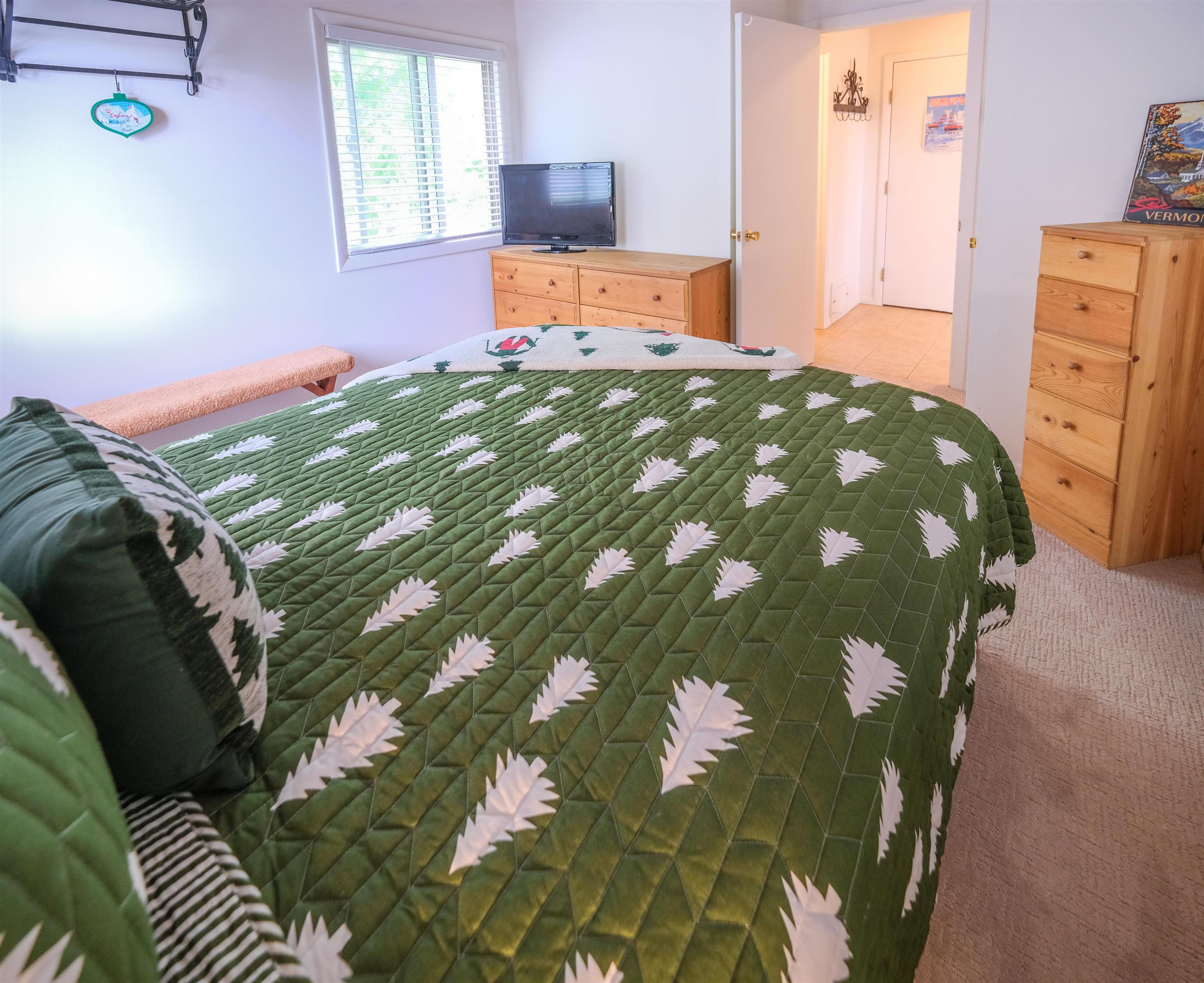 36 Okemo Trailside Extension, Unit 6D Ludlow, VT 05149 - Photo 12 of 32