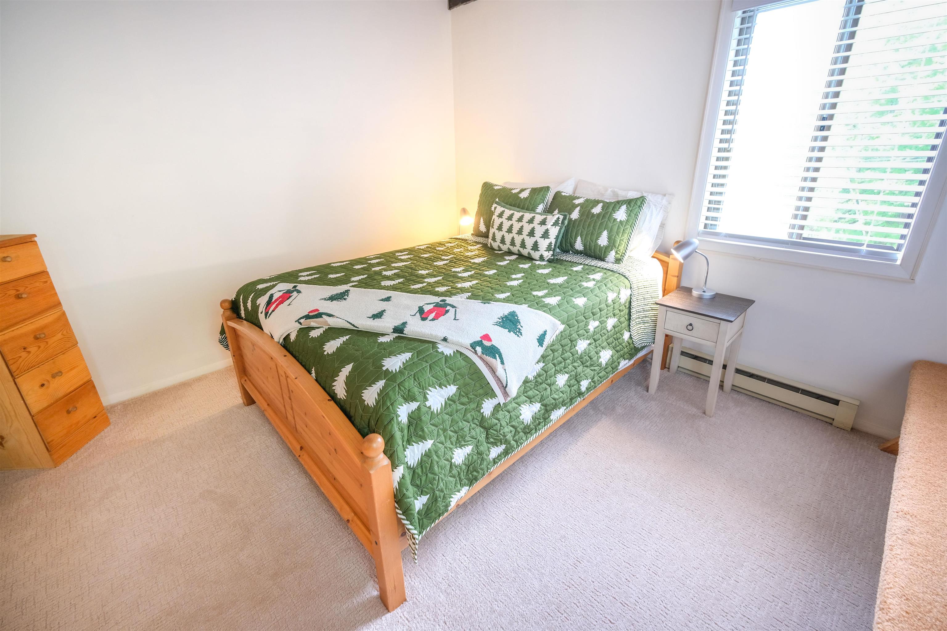 36 Okemo Trailside Extension, Unit 6D Ludlow, VT 05149 - Photo 14 of 32