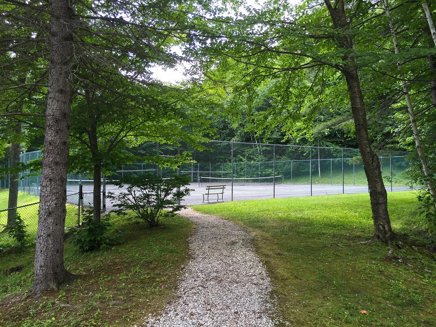 36 Okemo Trailside Extension, Unit 6D Ludlow, VT 05149 - Photo 27 of 32