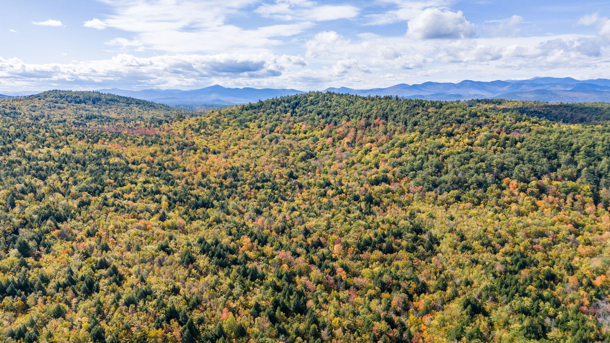 0 Mountain Rd-proctor Pond Road Stoneham, ME 04231 - Photo 4 of 11 Aerial