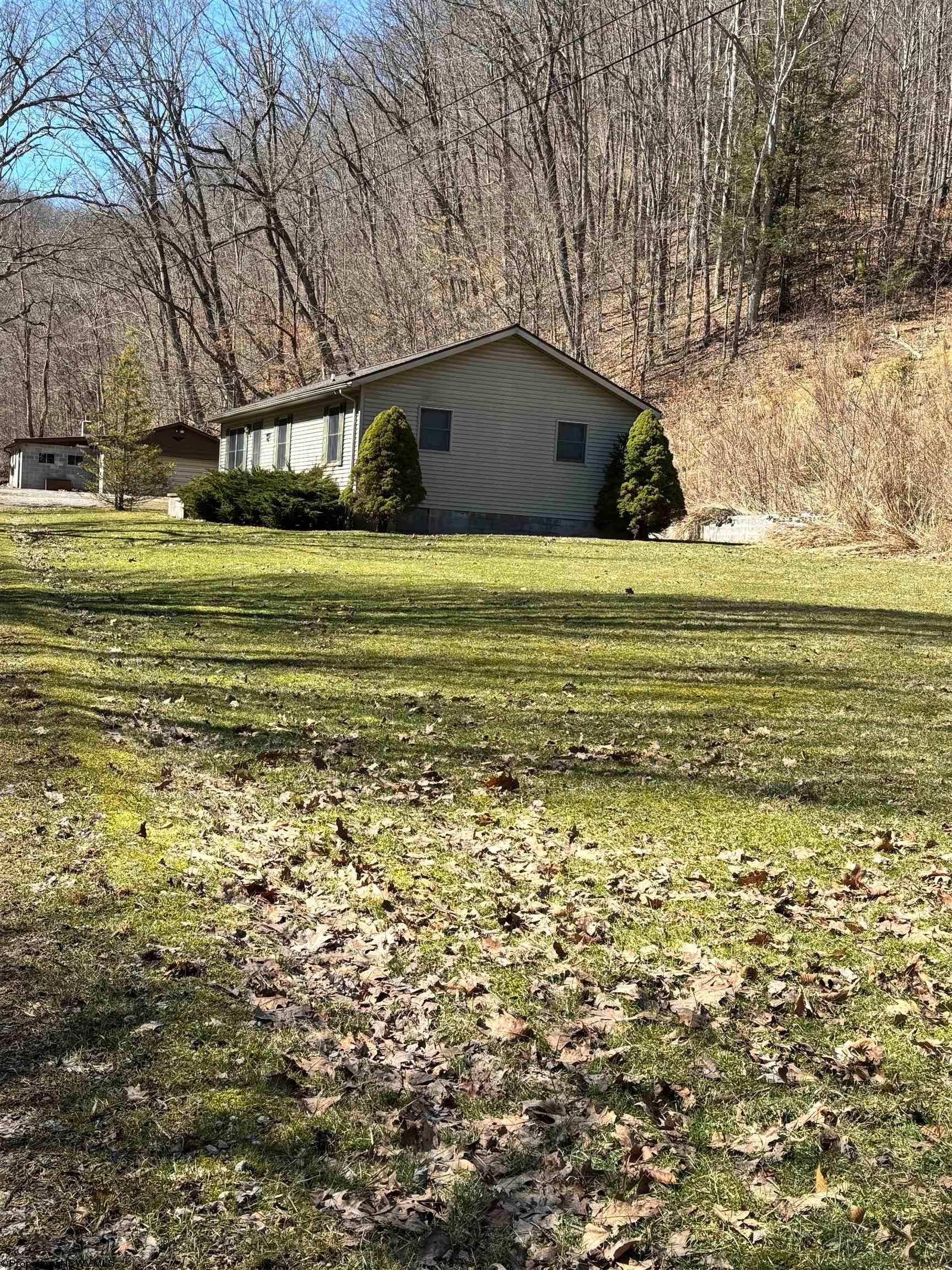 181 Co Rte 14/1 Elkins, WV 26241 - Photo 2 of 19 Gallery Image 2