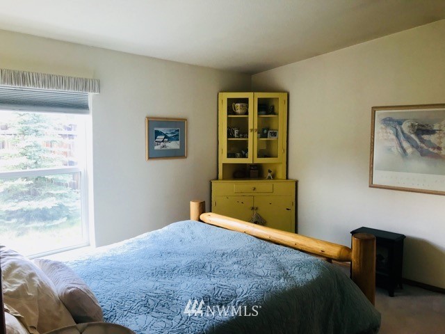 14 Maughans River Road Winthrop, WA 98862 - Photo 12 of 18 Gallery Image 12