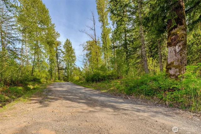 a view of a dirt road with trees in the background