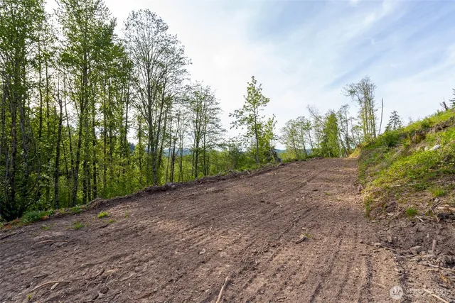 a view of a dirt road with trees in the background