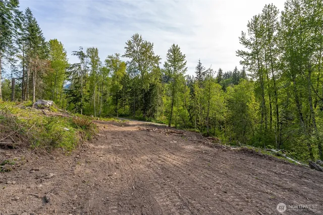 a view of a yard with an trees