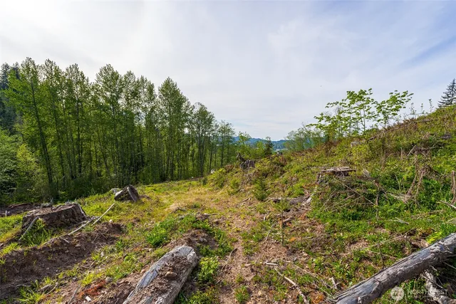 a view of a yard with trees in the background