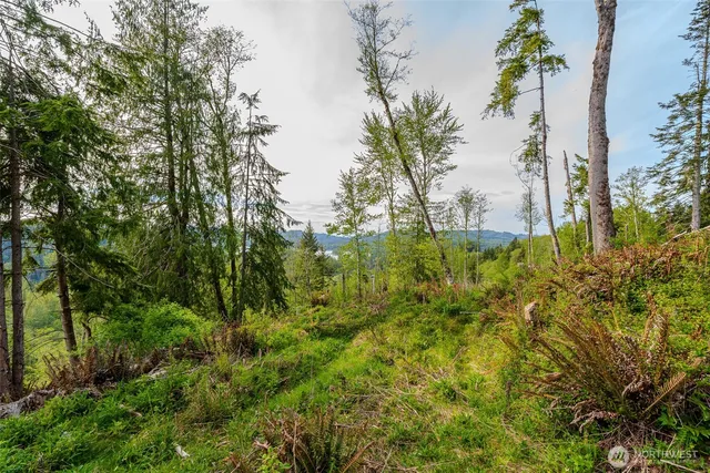 a view of a lush green hillside and a houses