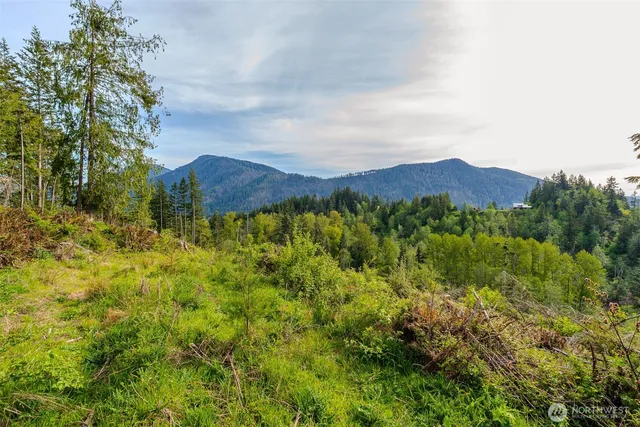 a view of a lush green field with mountains in the background