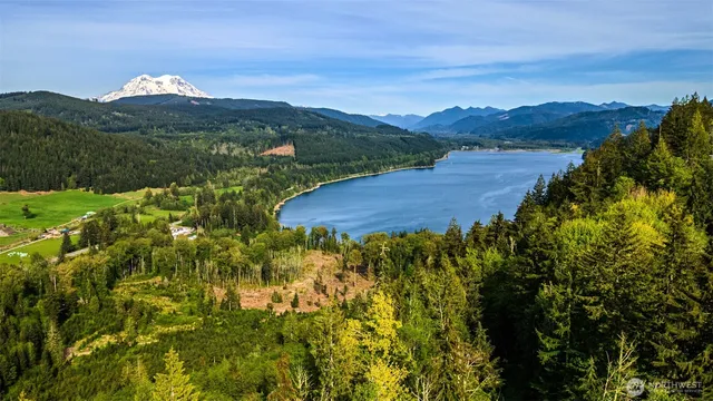 a view of a lush green hillside and a houses