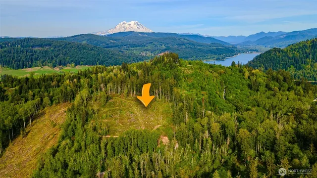 a view of a back yard