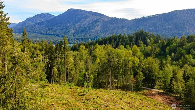 a view of a lake in middle of the forest