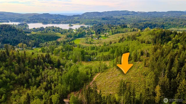 a view of a and mountain in a field