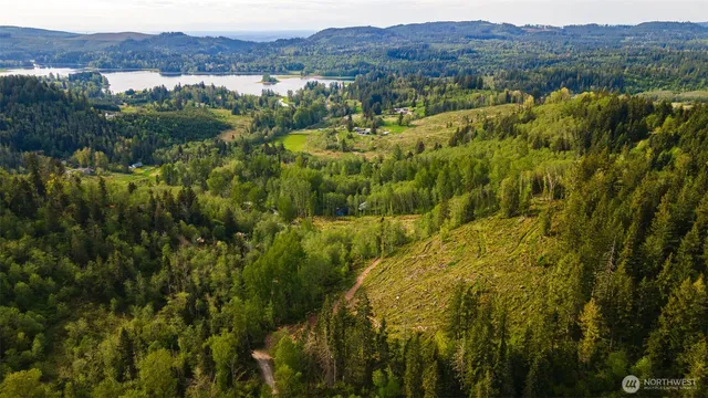 a view of a back yard from a lake view
