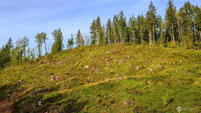 a view of a lake with a mountain in the background
