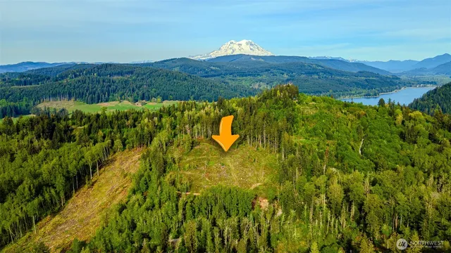 a view of a lake with a mountain in the background