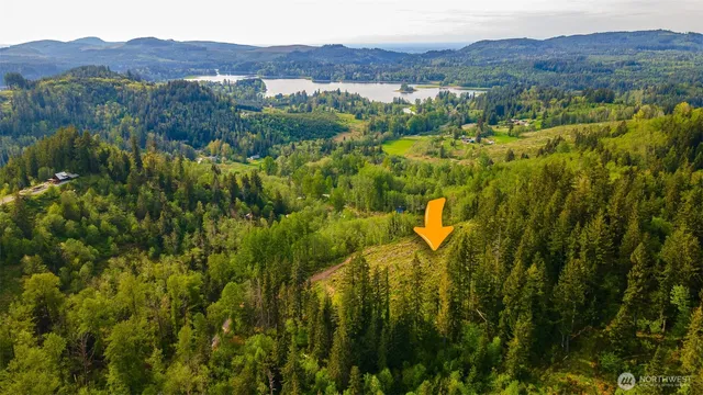 a view of a lush green hillside and a houses