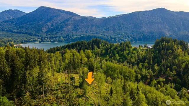 a view of a lush green hillside and a building