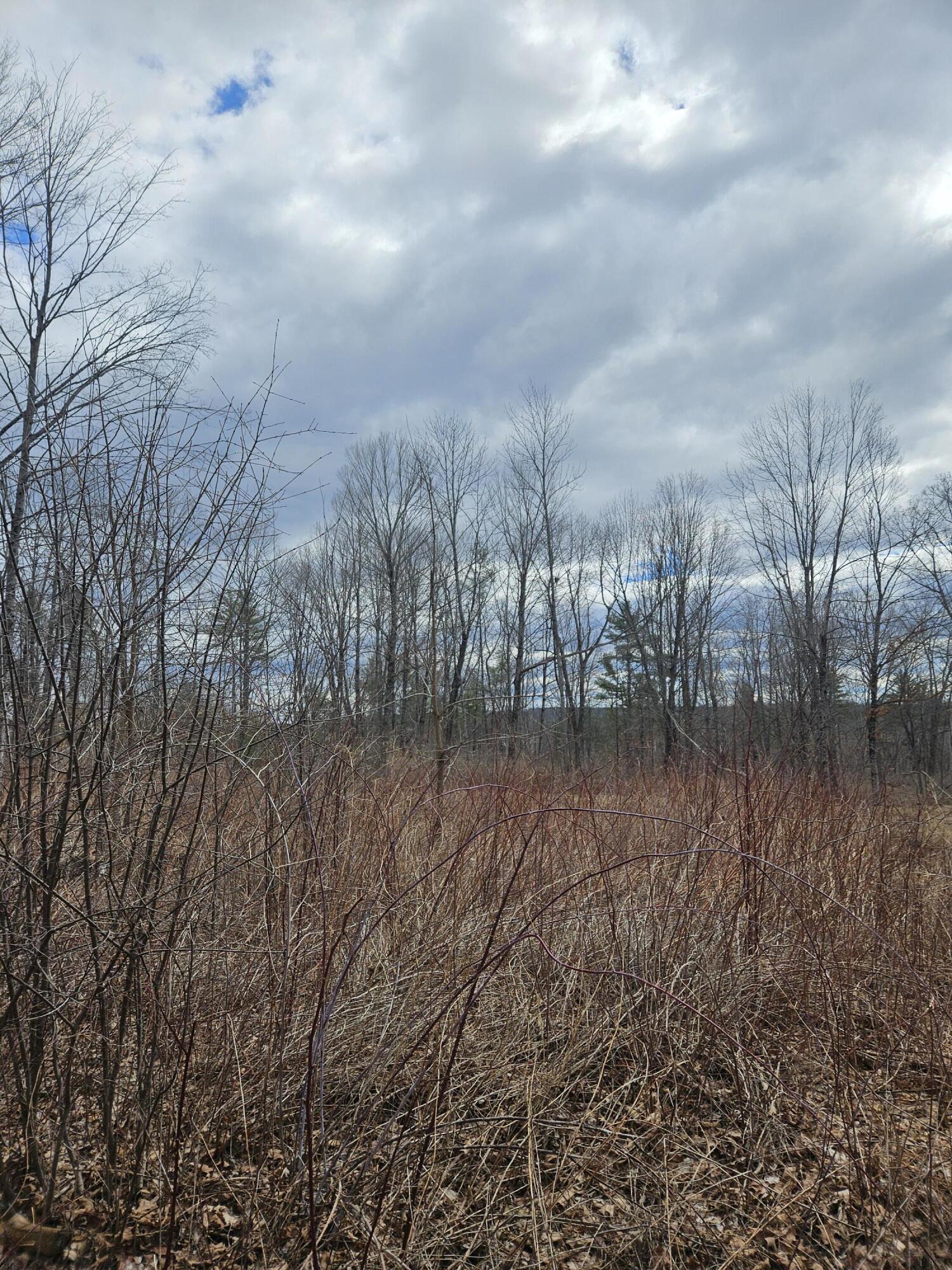 Lot 113-2 Cushman Road Winslow, ME 04901 - Photo 11 of 18 20260411_111118 (1)