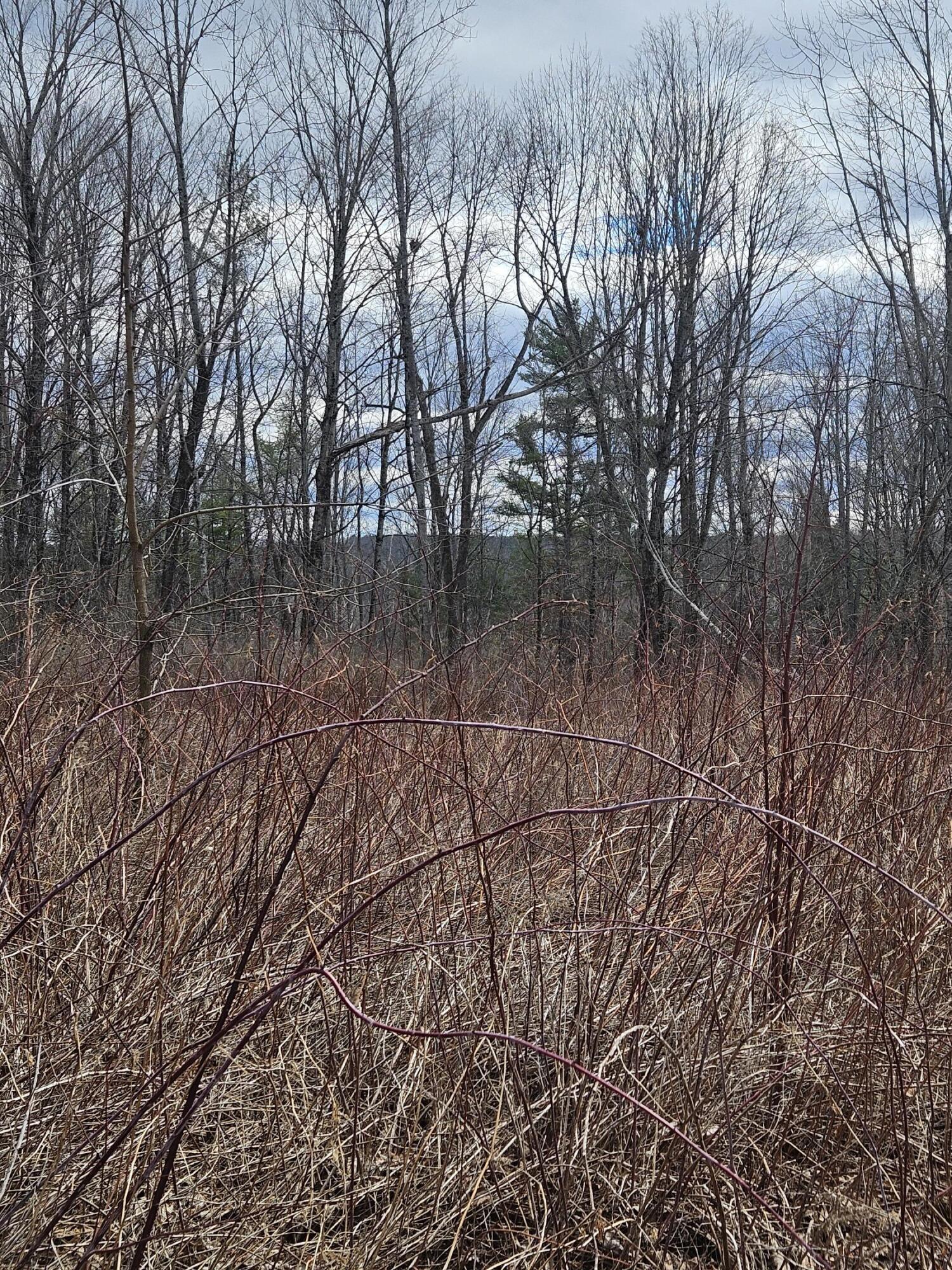 Lot 113-2 Cushman Road Winslow, ME 04901 - Photo 12 of 18 1000066942