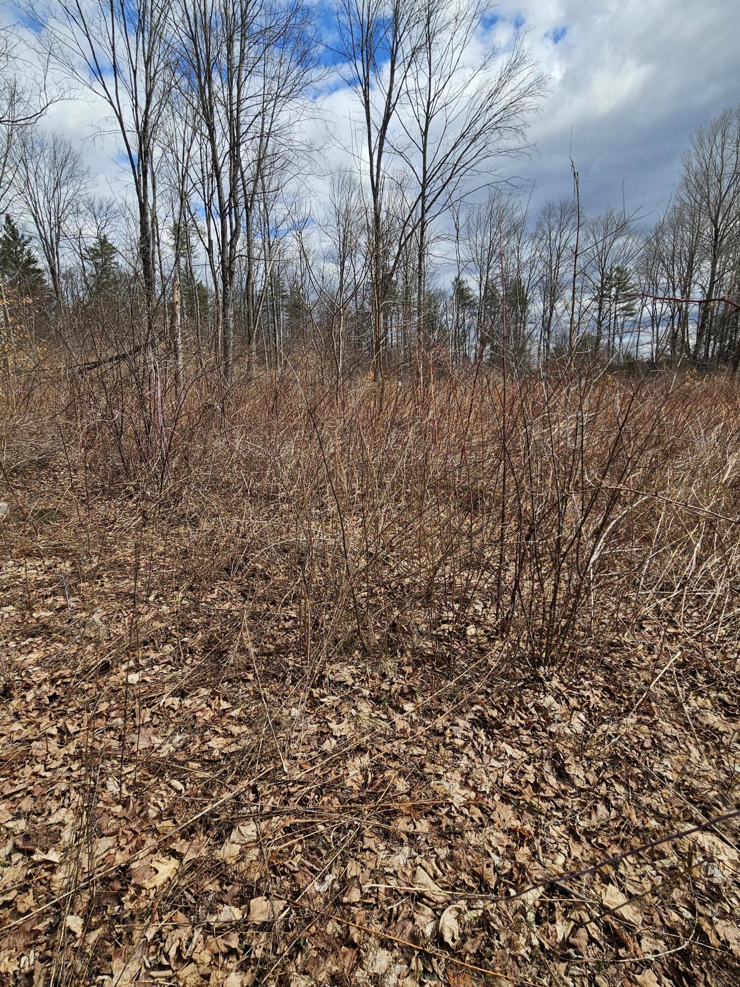Lot 113-2 Cushman Road Winslow, ME 04901 - Photo 13 of 18 1000066943