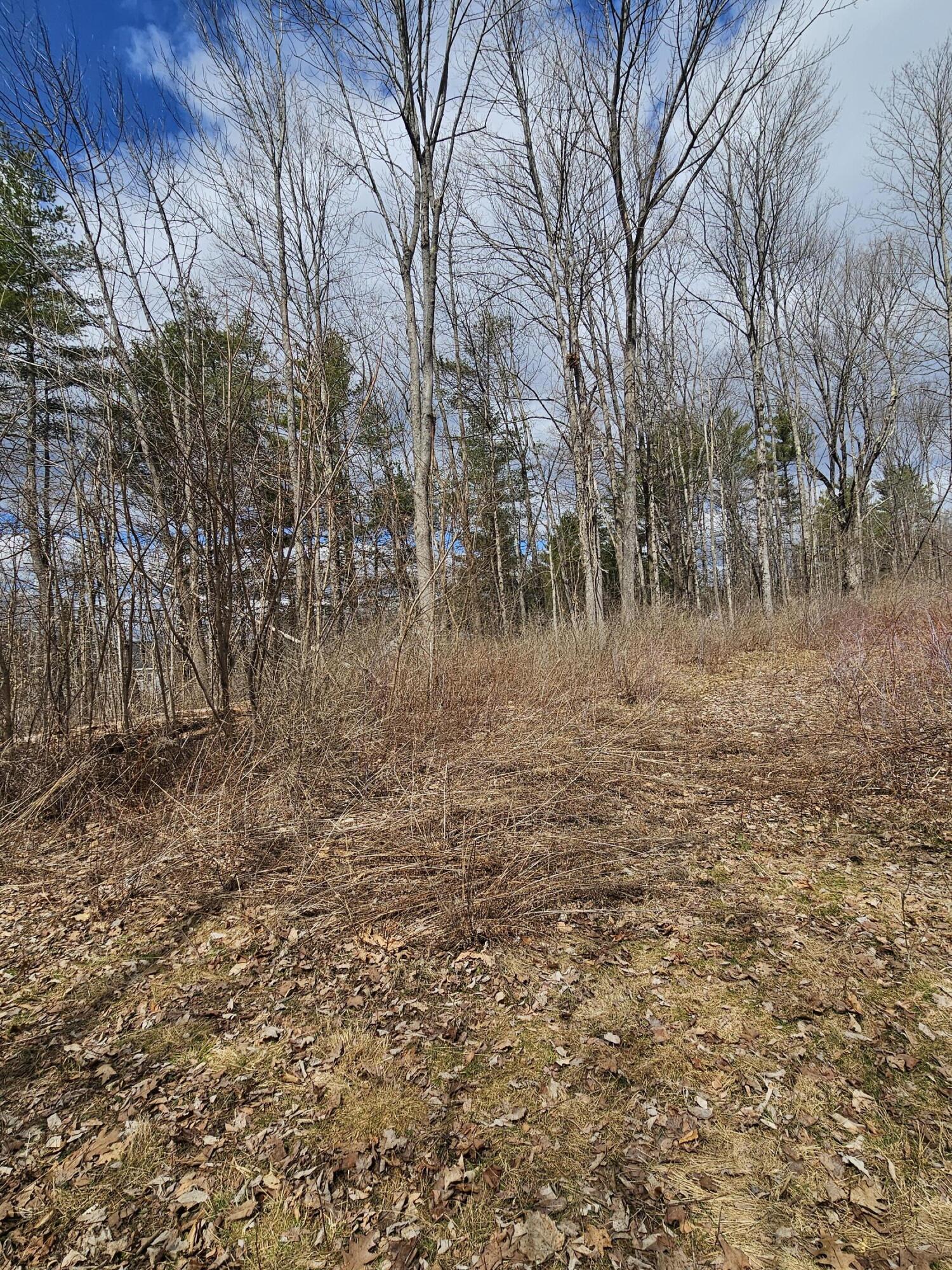 Lot 113-2 Cushman Road Winslow, ME 04901 - Photo 14 of 18 1000066958