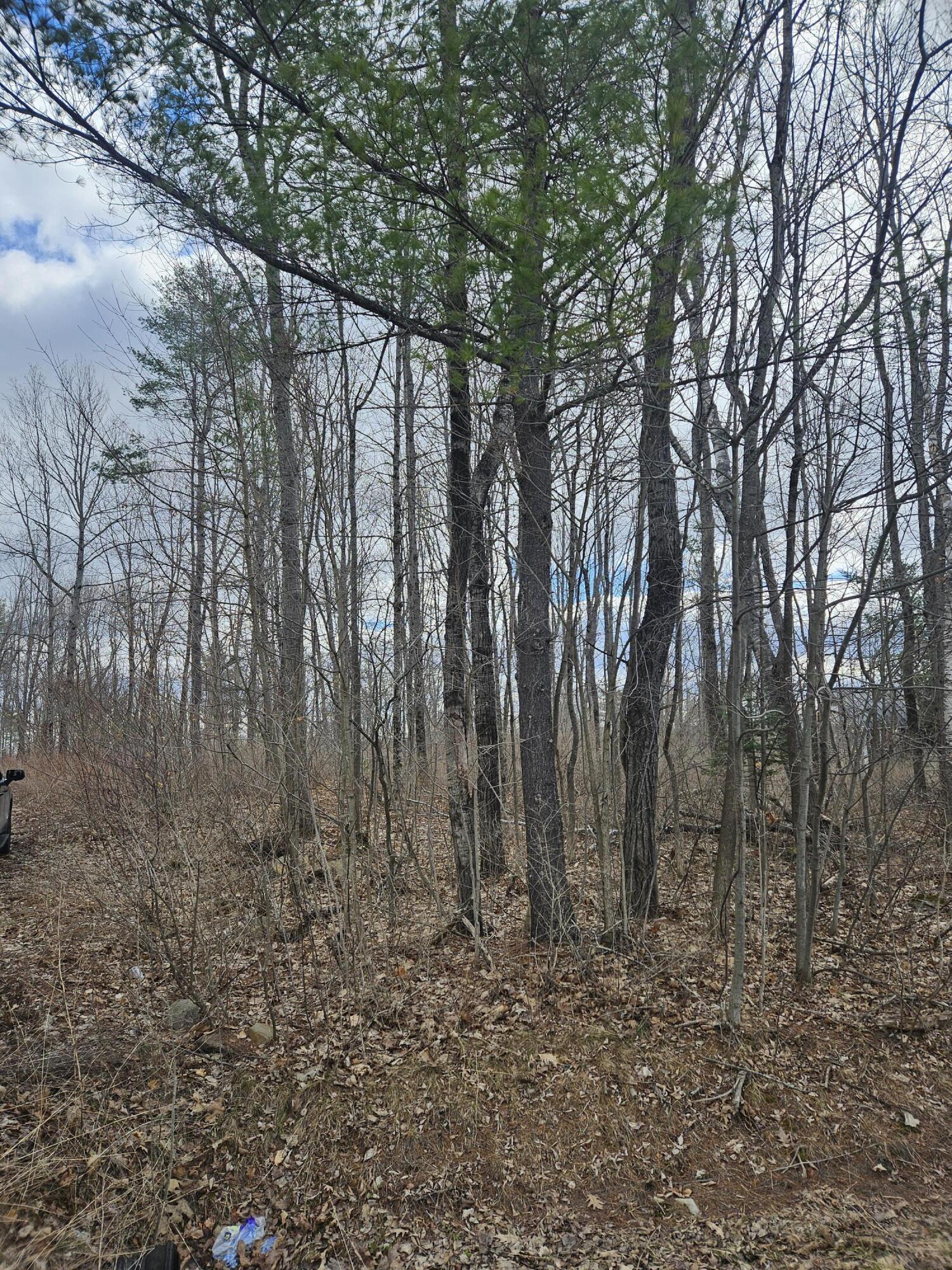 Lot 113-2 Cushman Road Winslow, ME 04901 - Photo 16 of 18 1000066933