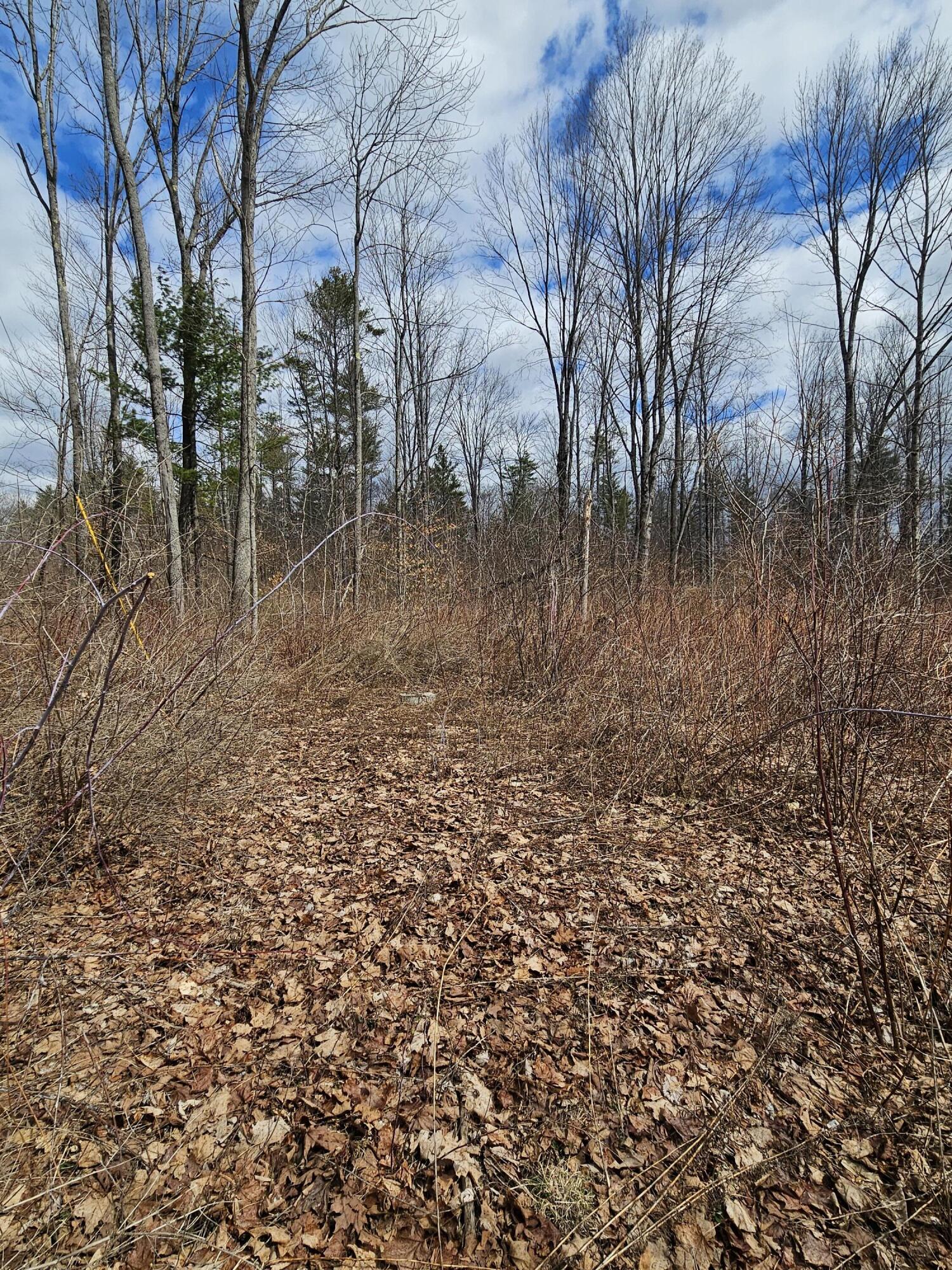 Lot 113-2 Cushman Road Winslow, ME 04901 - Photo 17 of 18 20260411_111145