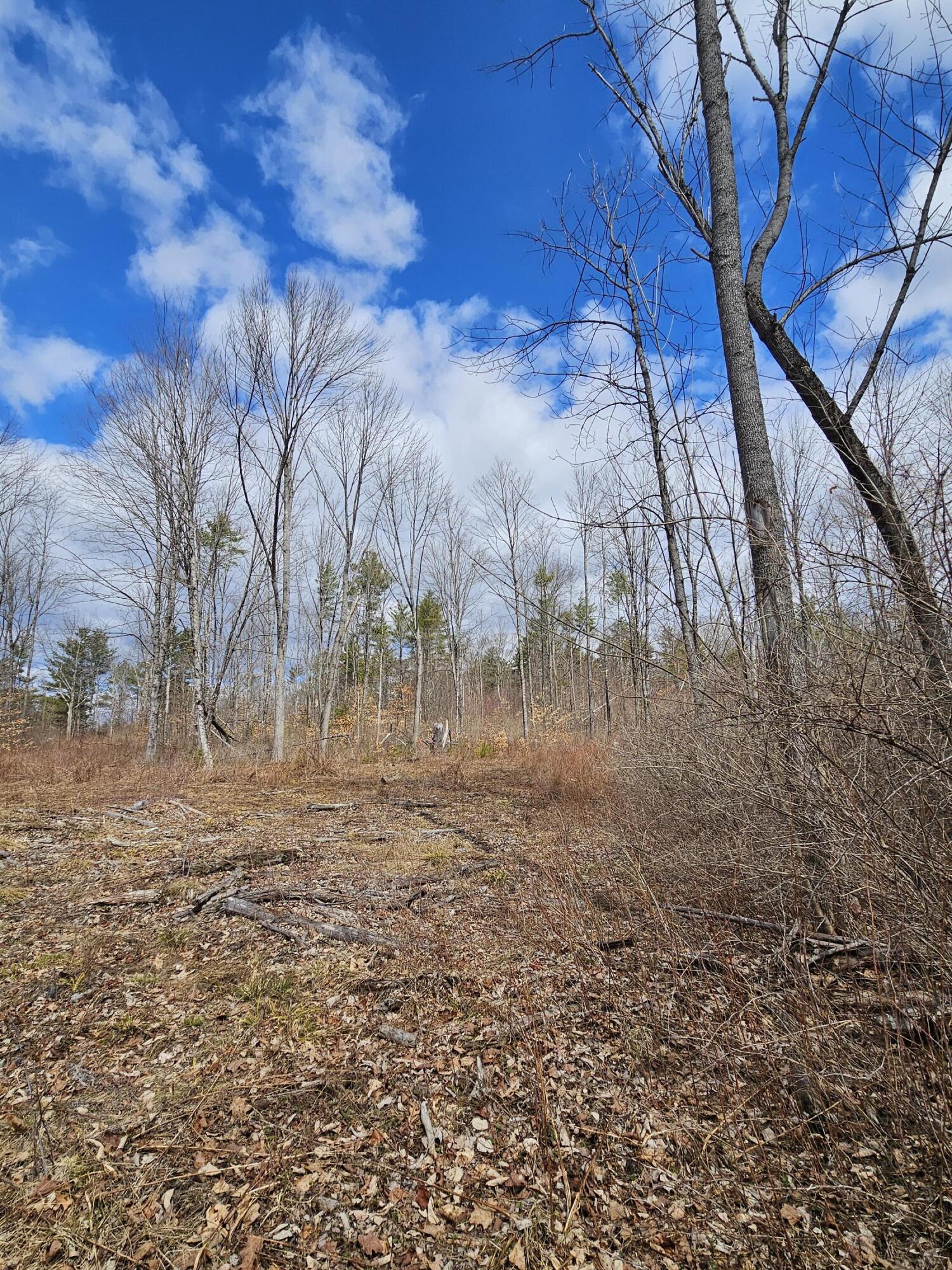 Lot 113-2 Cushman Road Winslow, ME 04901 - Photo 3 of 18 1000066948